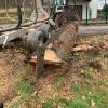 holzprojek nies saegewerk holzprojek nies saegewerk