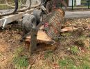 holzprojek nies saegewerk
