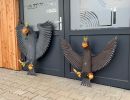 holzprojek nies vogelbau