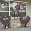 holzprojek nies vogelbau holzprojek nies vogelbau